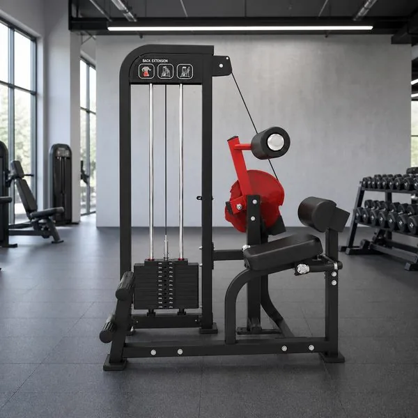 Lower-Back Conditioning on a Compact Back Extension Machine