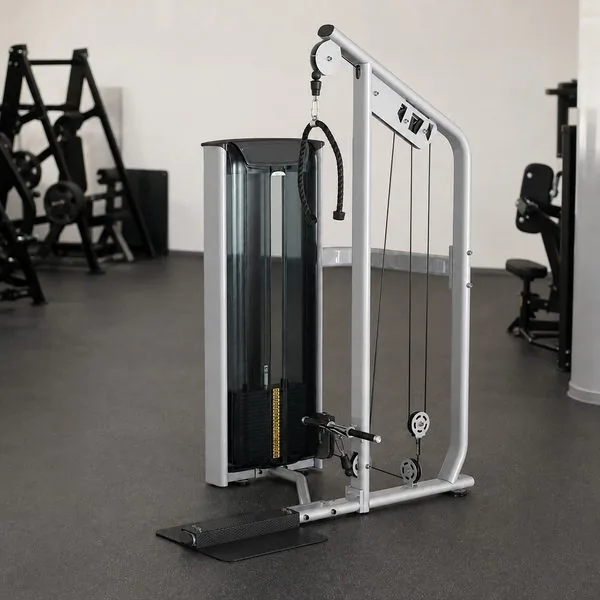Biceps / Triceps Machine (TL23)