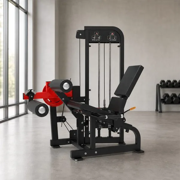 Two Thigh Muscles, One Station: The Leg Extension / Curl Machine
