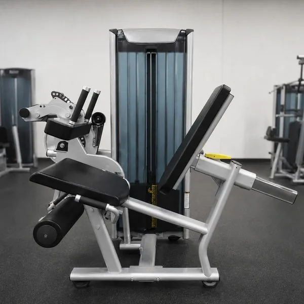 Leg Extension & Leg Curl (TL17)