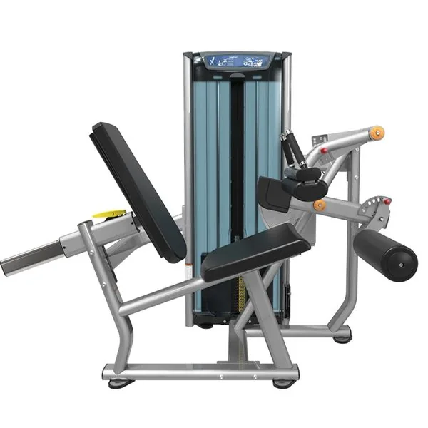 Hamstring Alignment Work on a Seated Leg Curl Machine